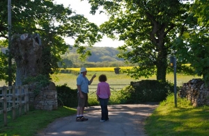 M&D Walking